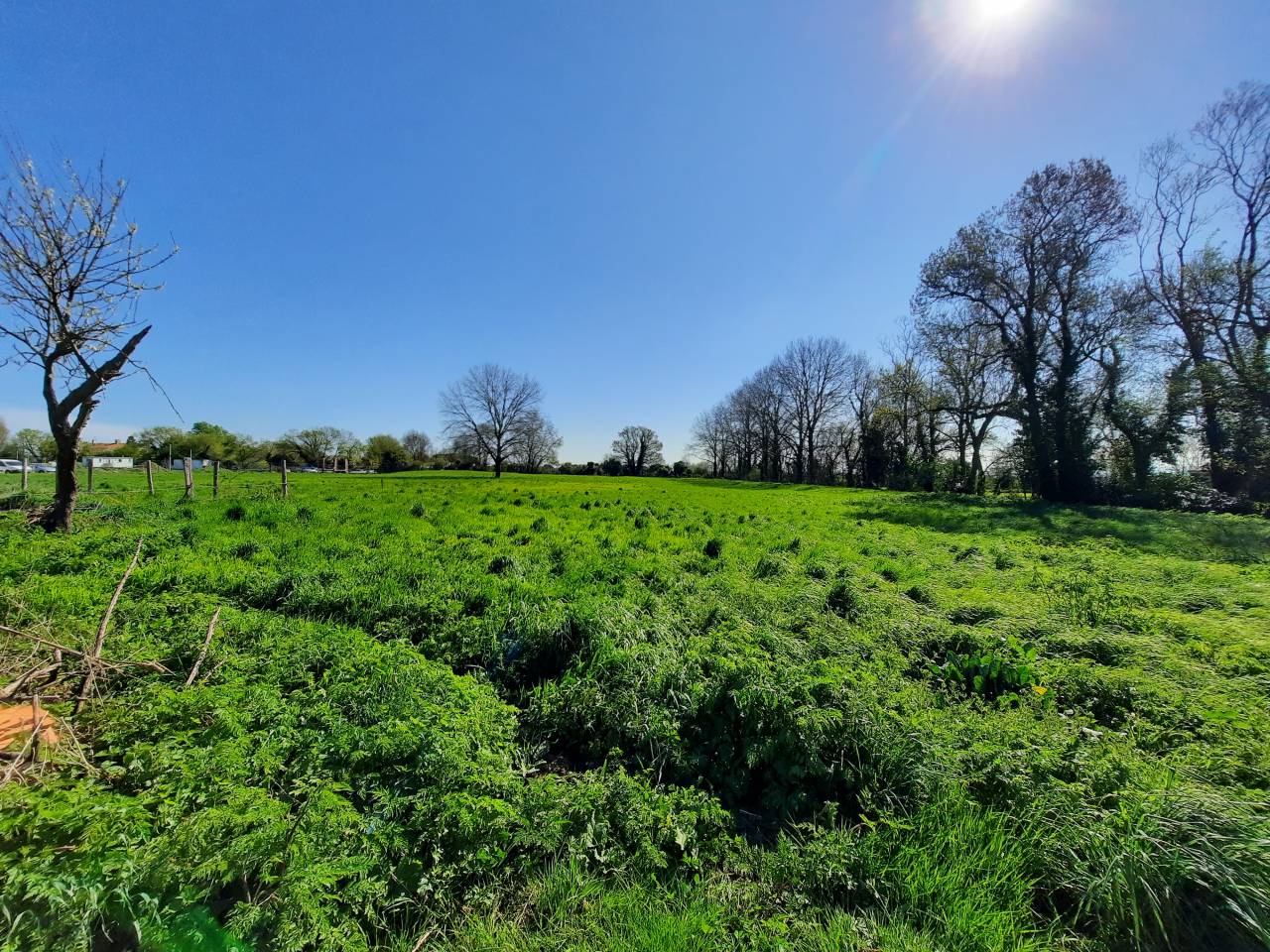 Propiedad ecuestre En venta Vendée