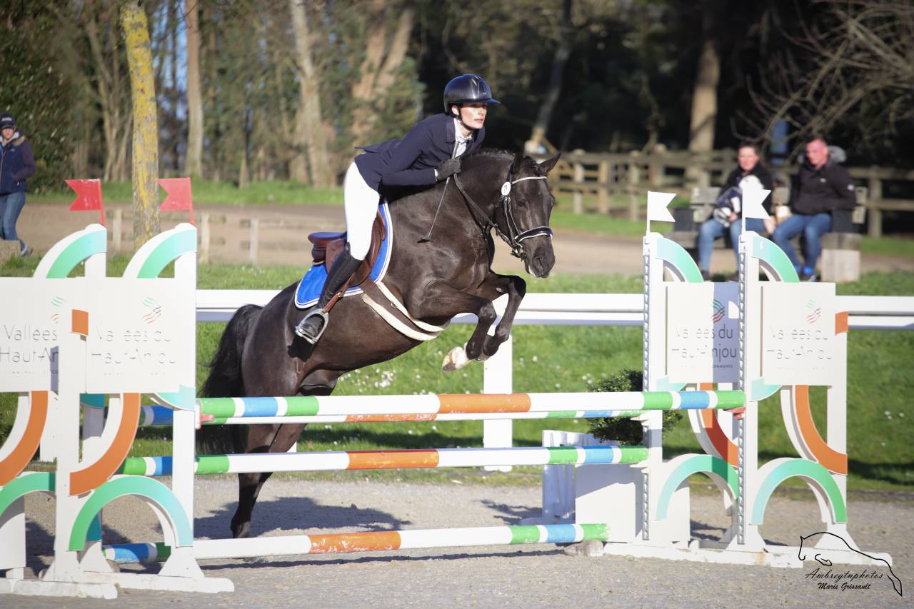 MERRIE MALACHIE  - New Forest 2019 por MERRIE MADHATTER