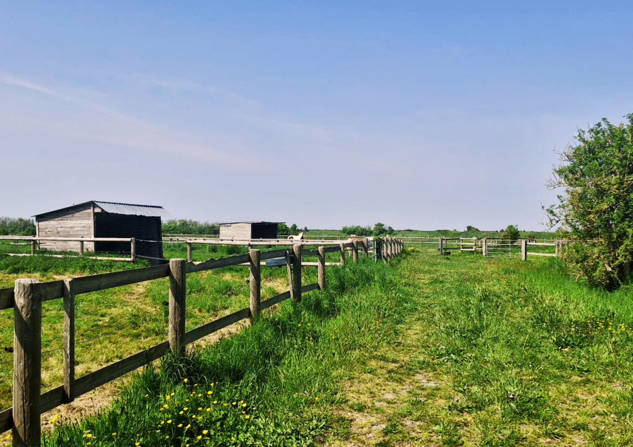 Bonita residencia ecuestre En venta Ile y Vilaine