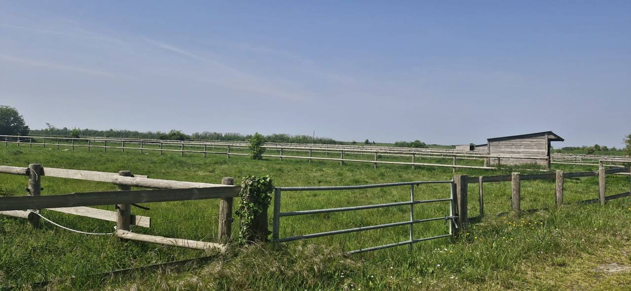 Bonita residencia ecuestre En venta Ile y Vilaine