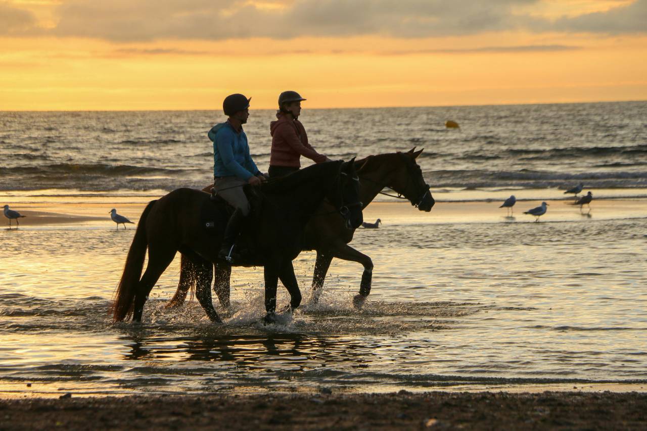 Bonita residencia ecuestre En venta Ile y Vilaine