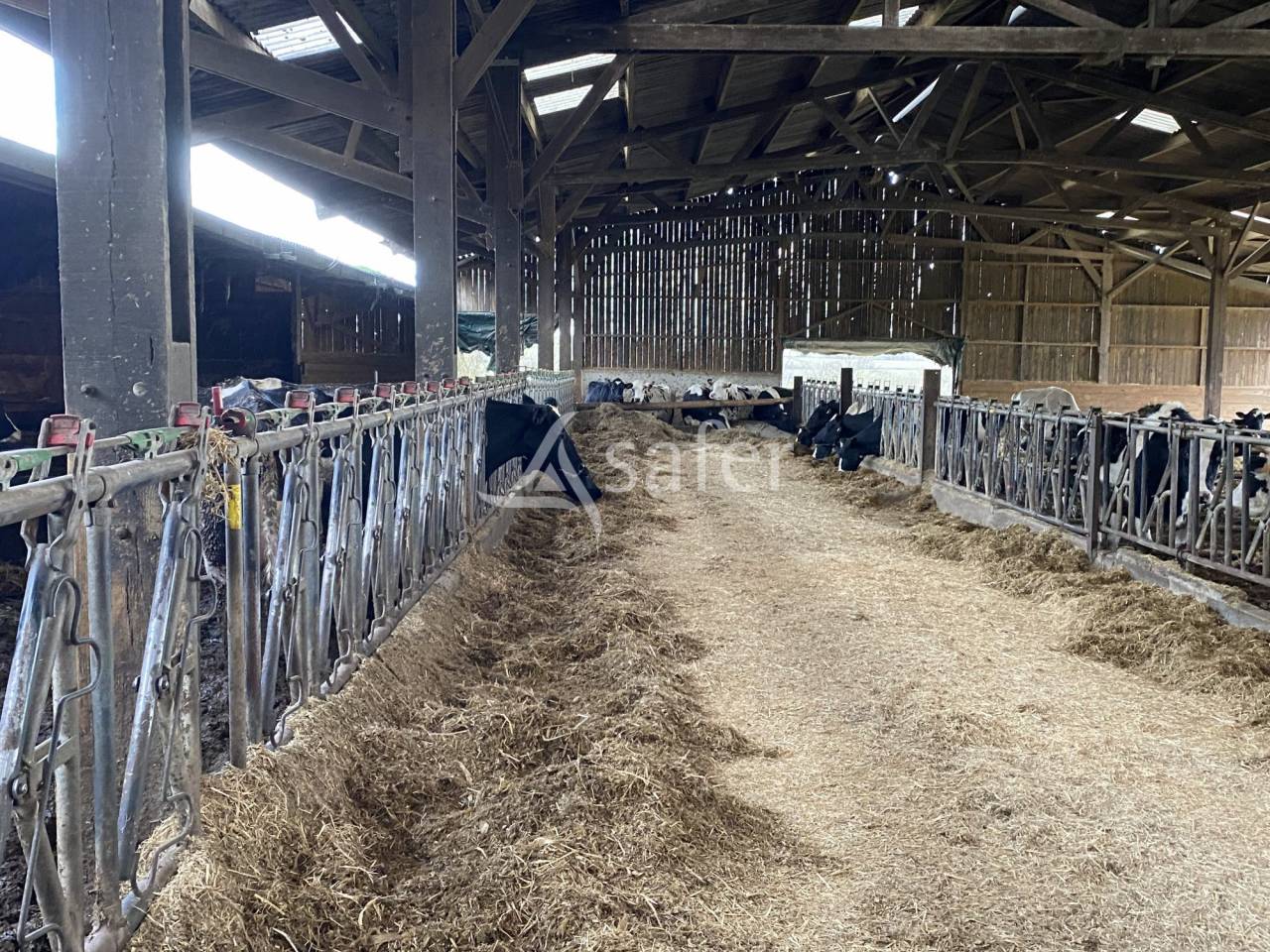 Explotación ovina En venta Allier