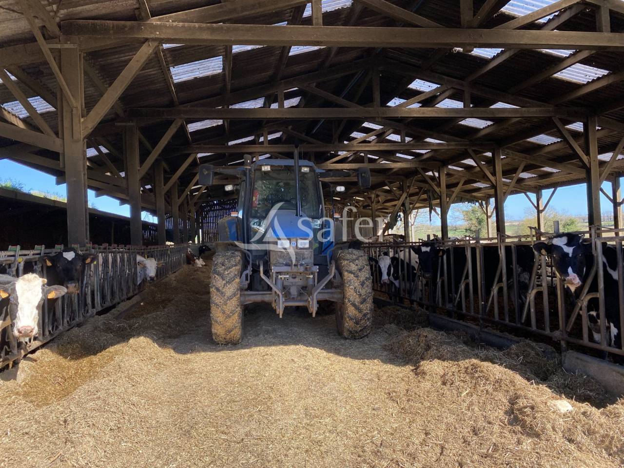 Explotación ovina En venta Allier