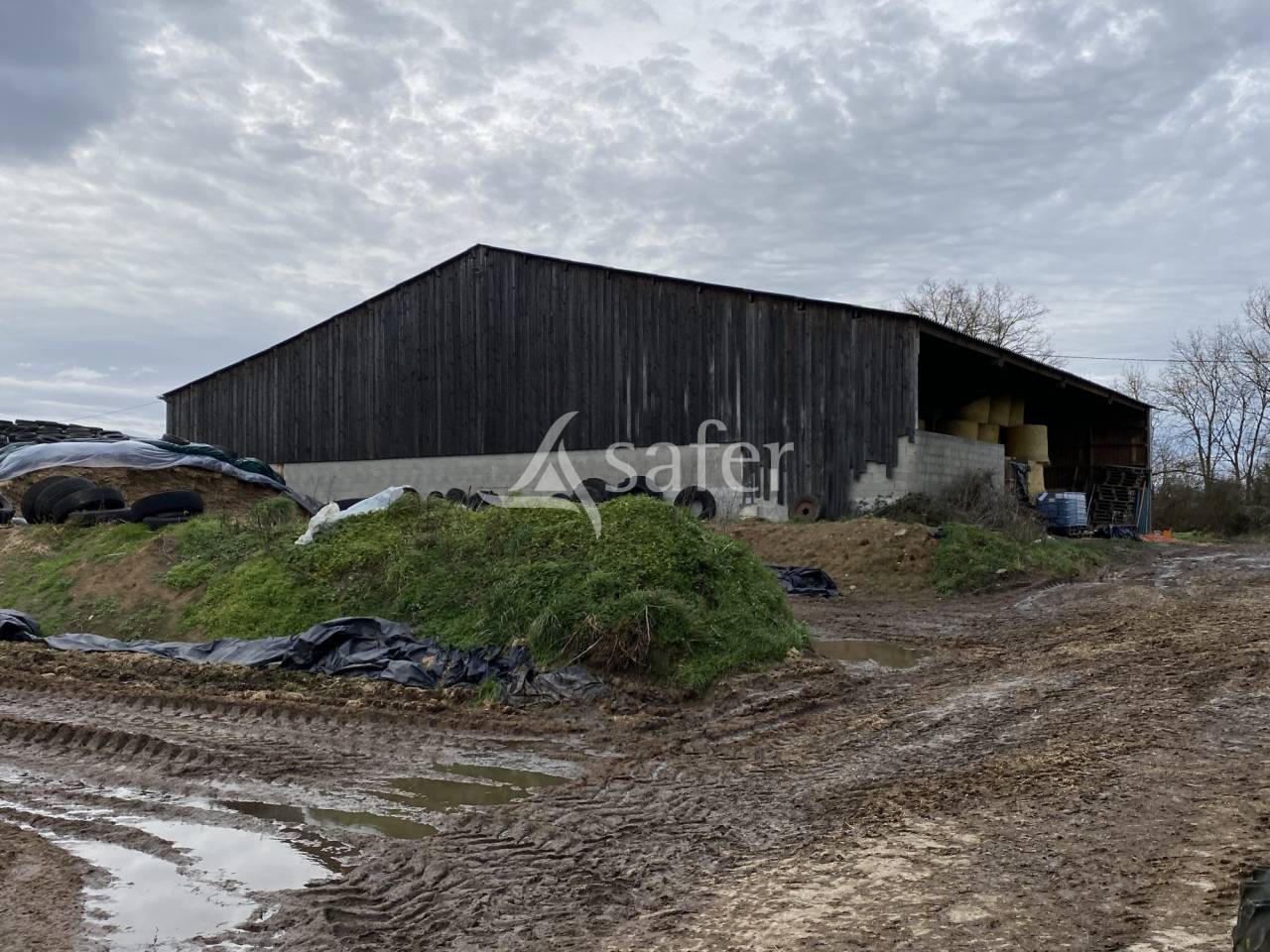 Explotación ovina En venta Allier