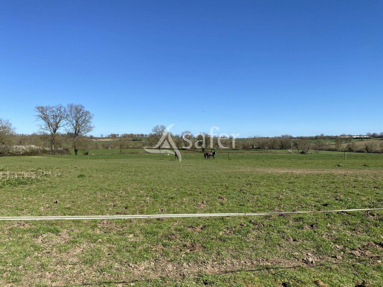 Explotación ovina En venta Allier