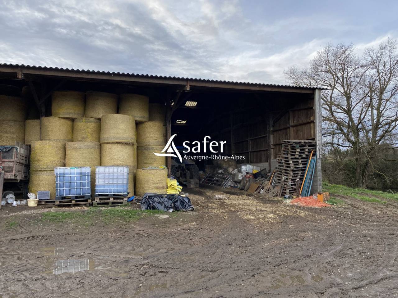 Explotaci&oacute;n ovina En venta Allier