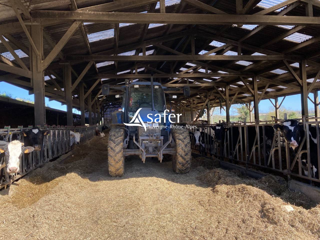 Explotaci&oacute;n ovina En venta Allier