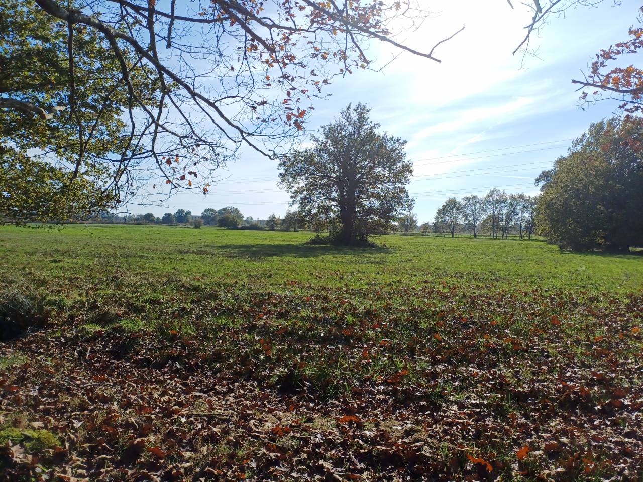 Propiedad ecuestre En venta Dordoña