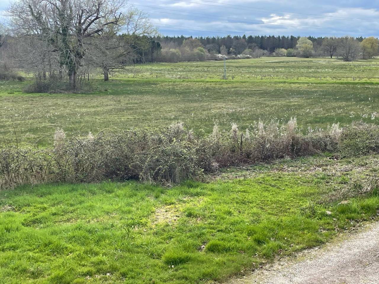 Propiedad ecuestre En venta Dordoña