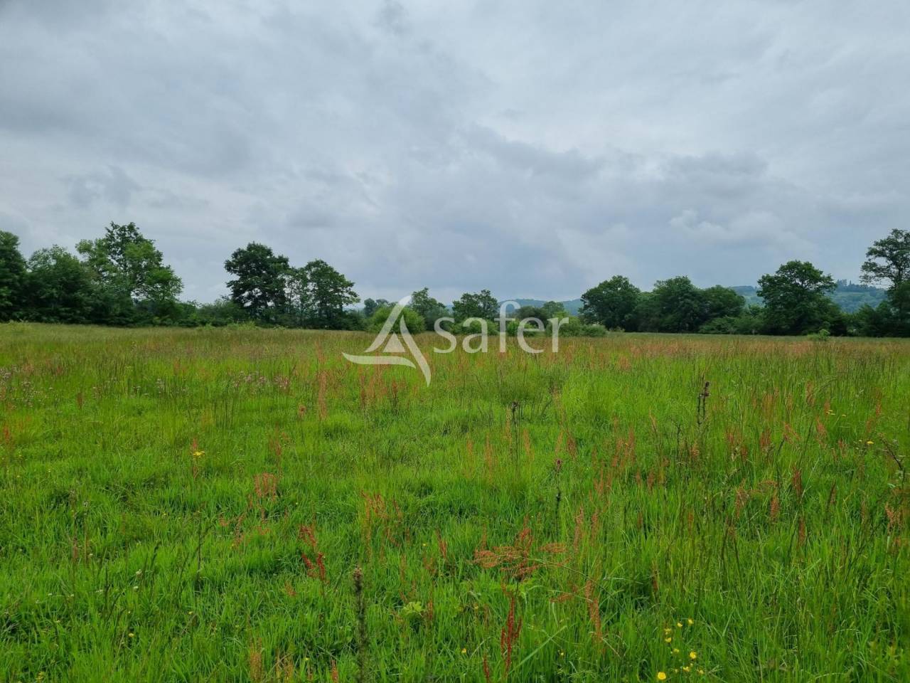 Propiedad rural En venta Altos Pirineos