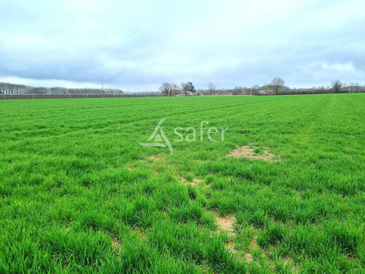 Explotación agrícola En venta Tarn y Garona