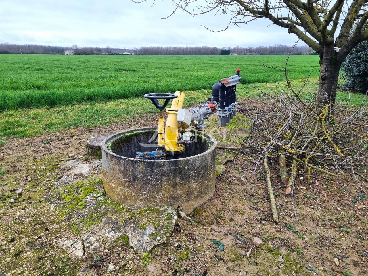 Explotación agrícola En venta Tarn y Garona