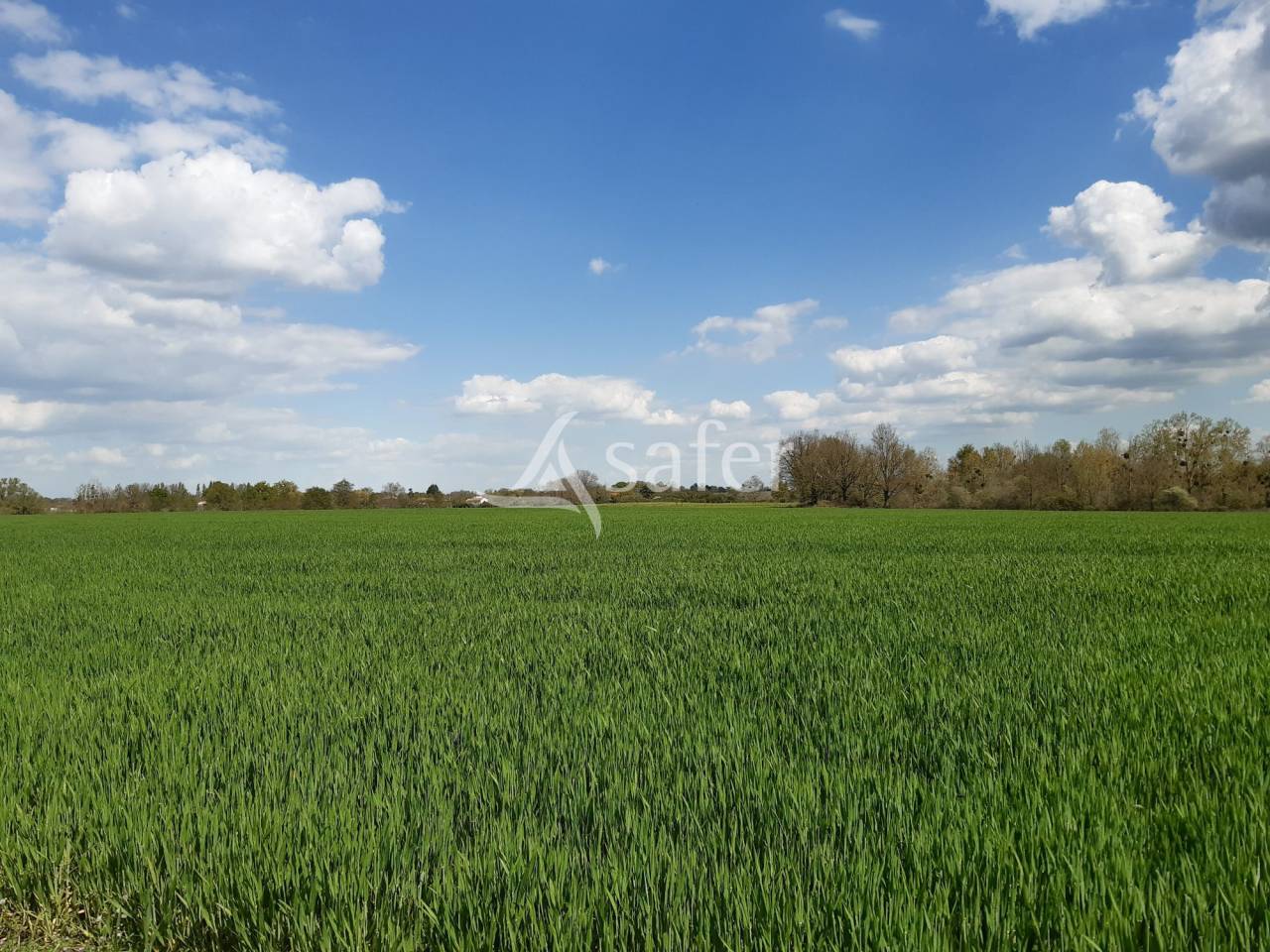 Explotación agrícola En venta Deux-Sèvres