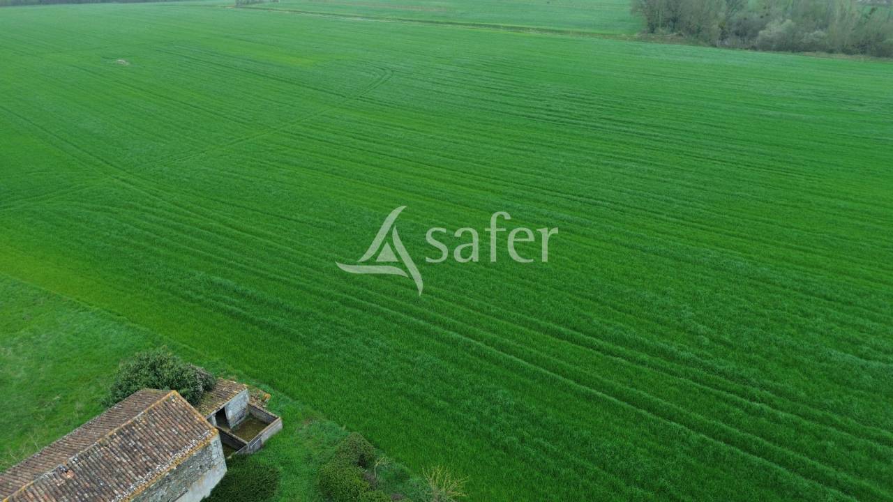 Explotación agrícola En venta Deux-Sèvres