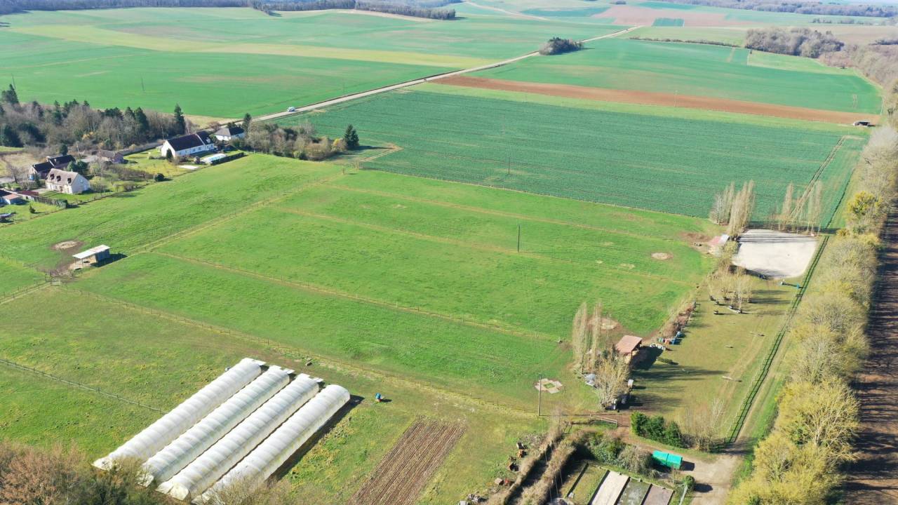 Cuadra de propietarios En venta Yonne