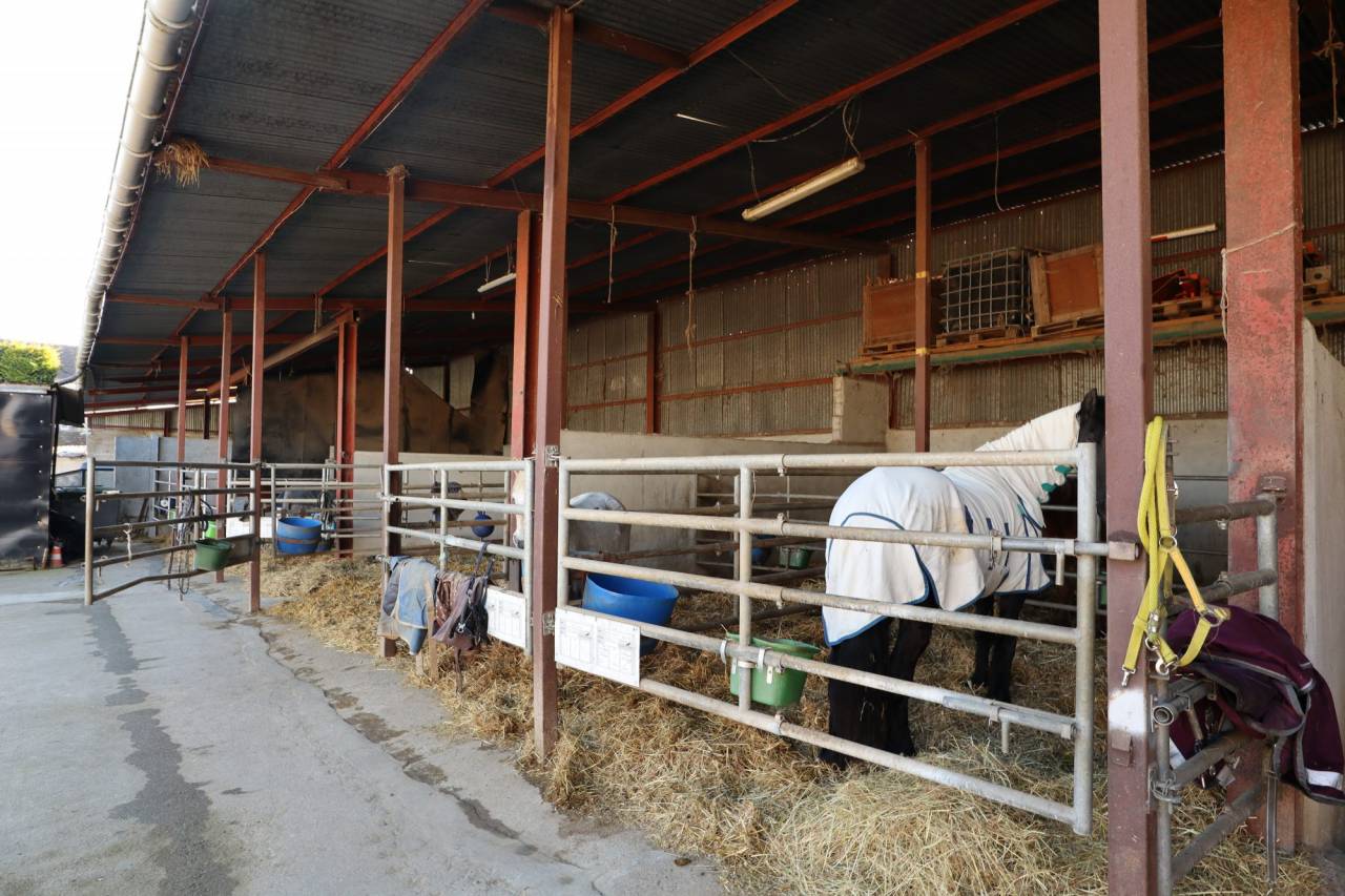 Cuadra de propietarios En venta Yonne