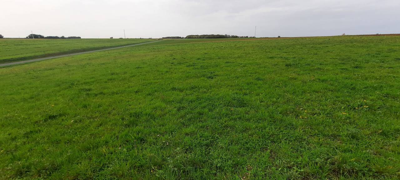 Propiedad ecuestre En venta Vendée