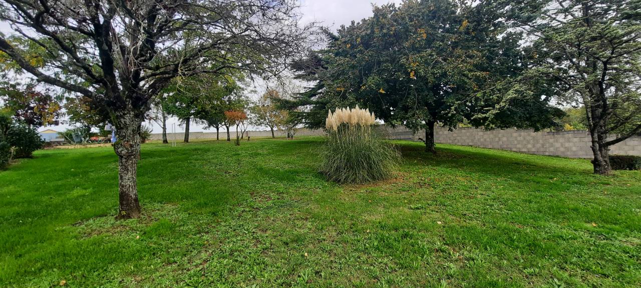 Propiedad ecuestre En venta Vendée