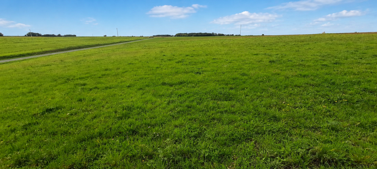 Propiedad ecuestre En venta Vend&eacute;e