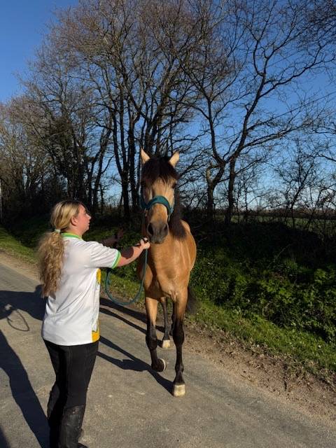 saymon  - PRE Pura Raza Española 2021