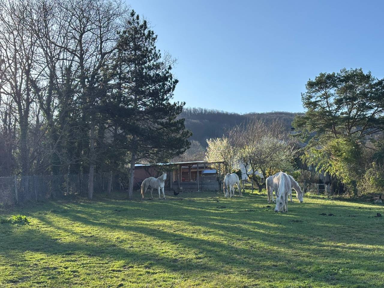 Bonita residencia ecuestre En venta Ródano
