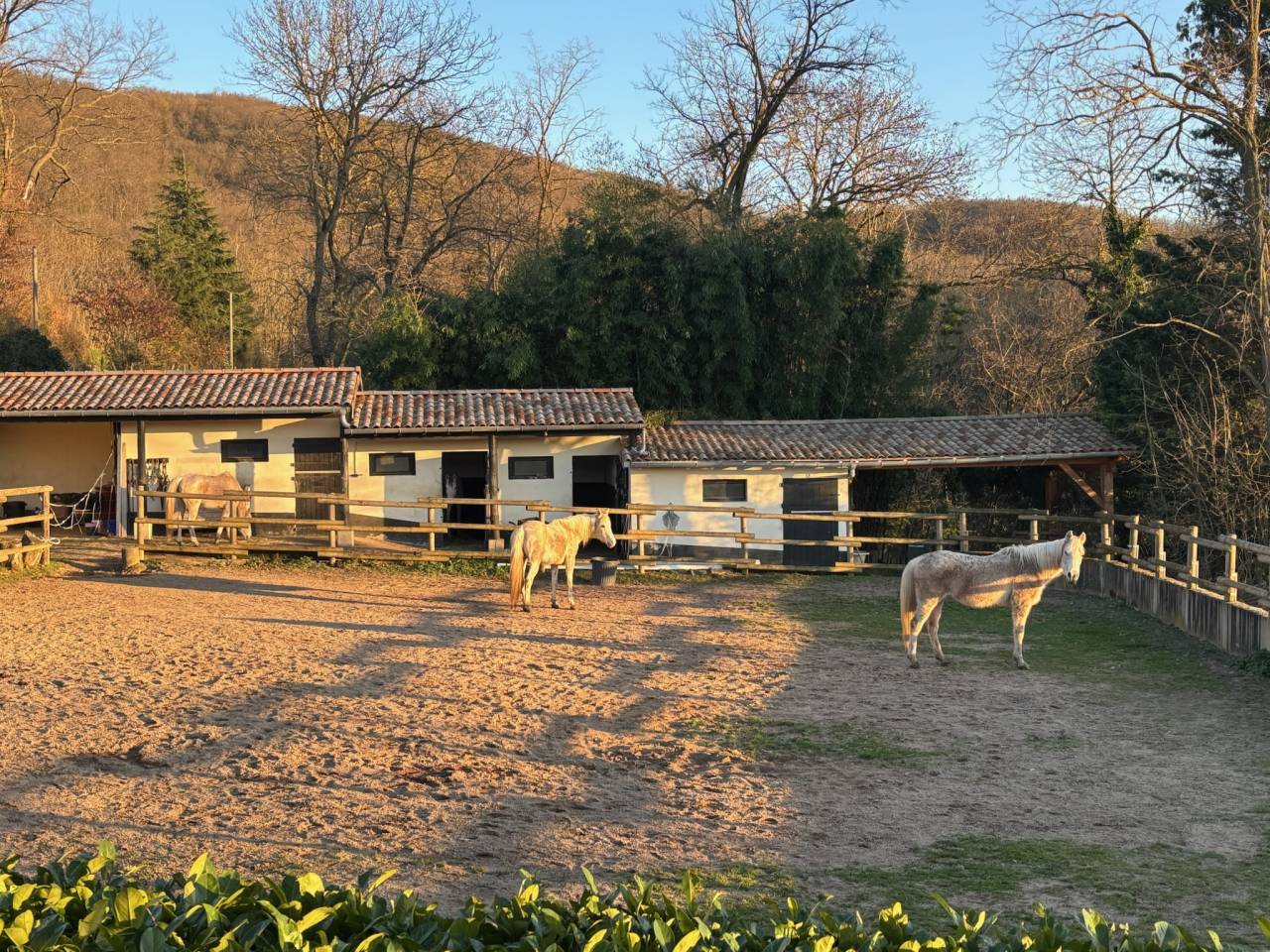 Bonita residencia ecuestre En venta Ródano