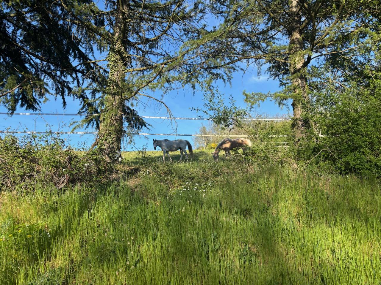 Bonita residencia ecuestre En venta Ródano