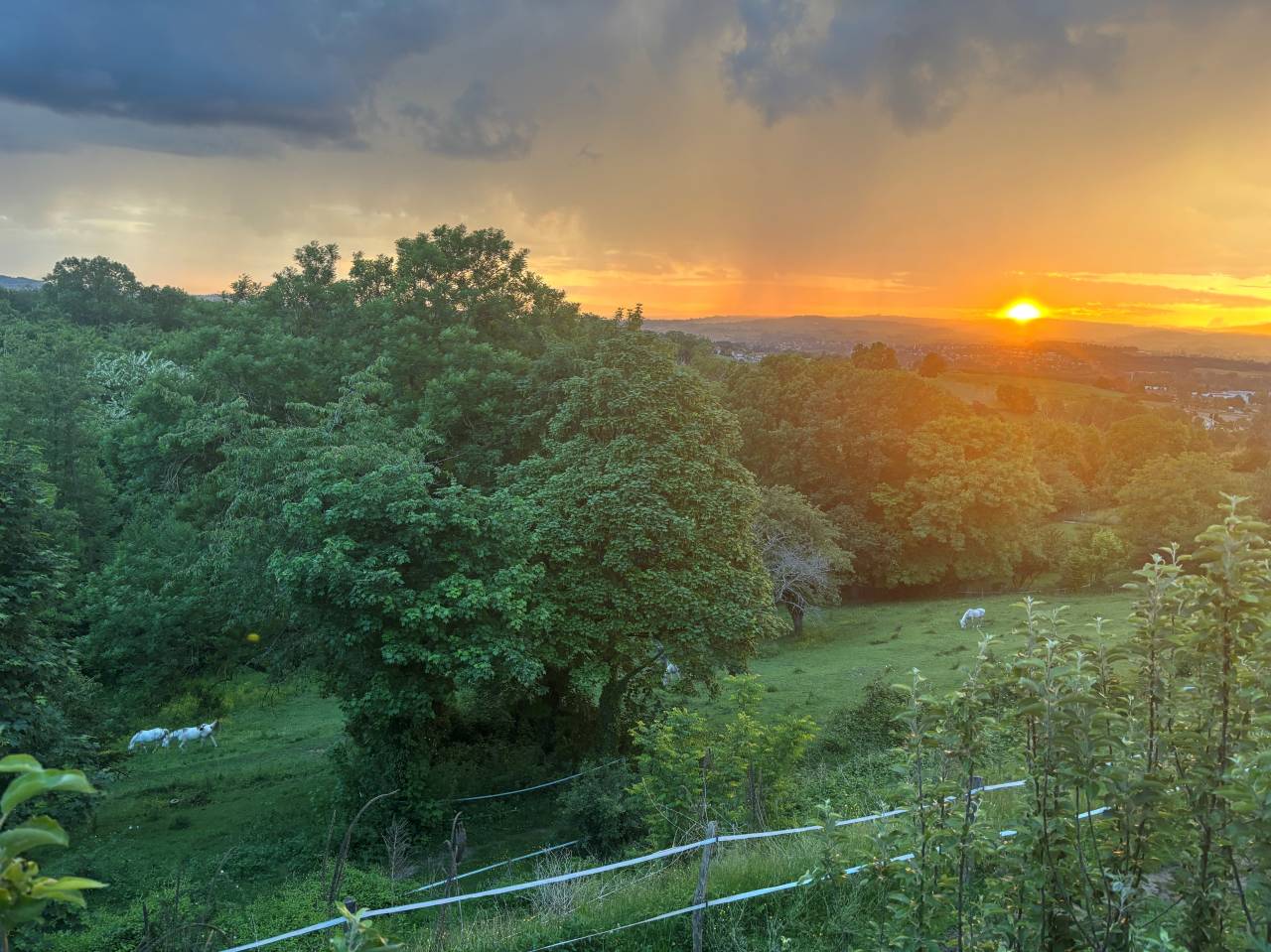 Bonita residencia ecuestre En venta Ródano