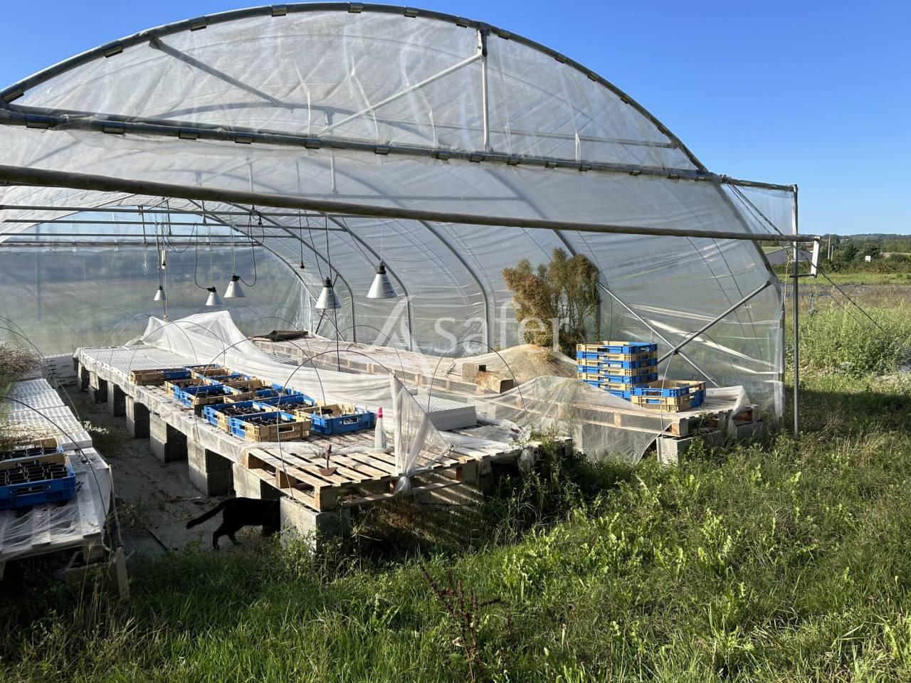 Explotación hortensa En venta Lot y Garona