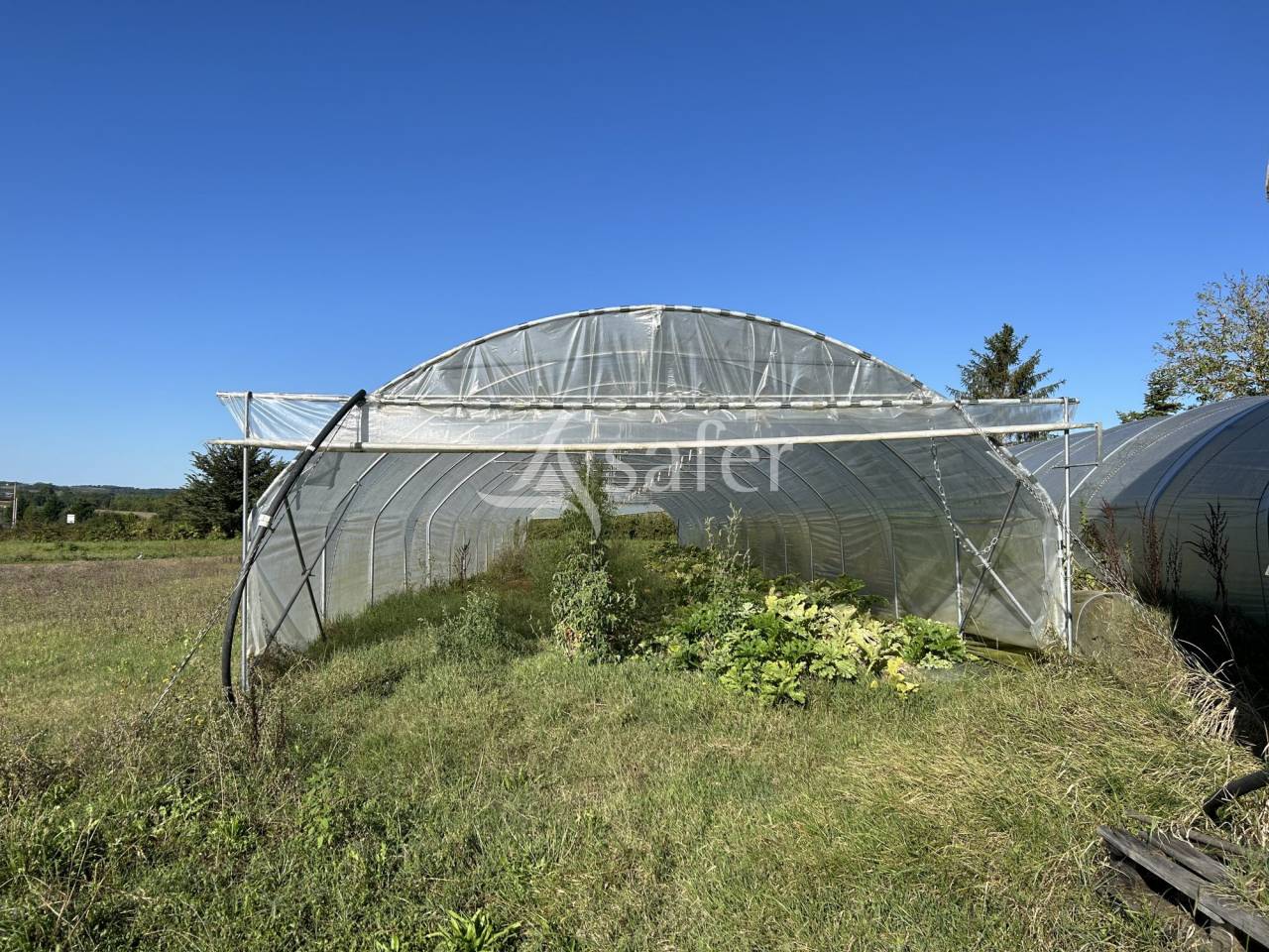 Explotación hortensa En venta Lot y Garona