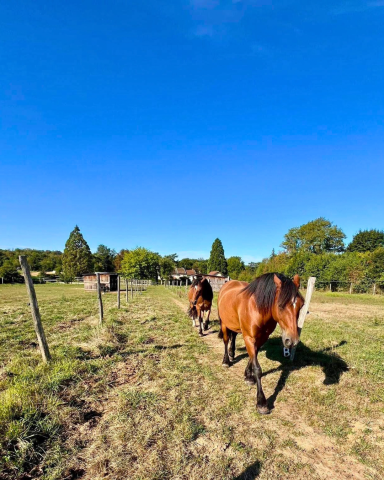 Propiedad ecuestre En venta Isère