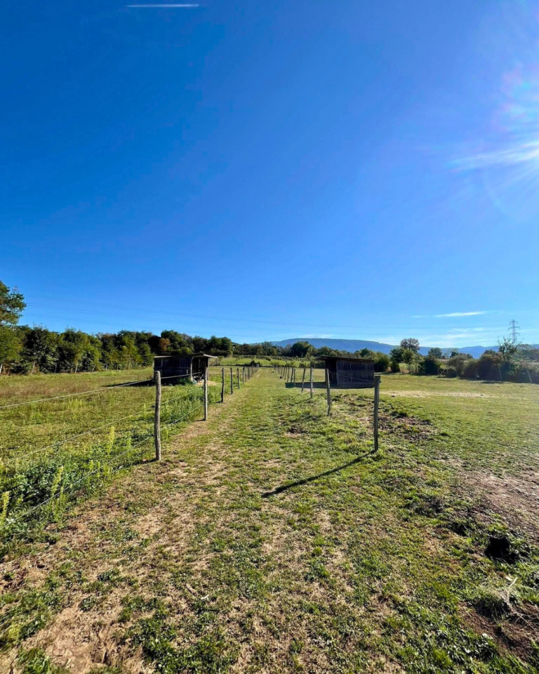 Propiedad ecuestre En venta Isère