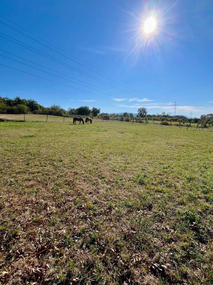 Propiedad ecuestre En venta Isère