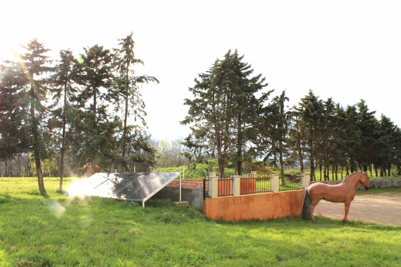 Propiedad ecuestre En venta Tarn y Garona