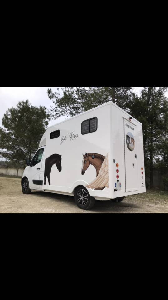 Furgoneta para caballos - Otra marca -  2025 Nuevo