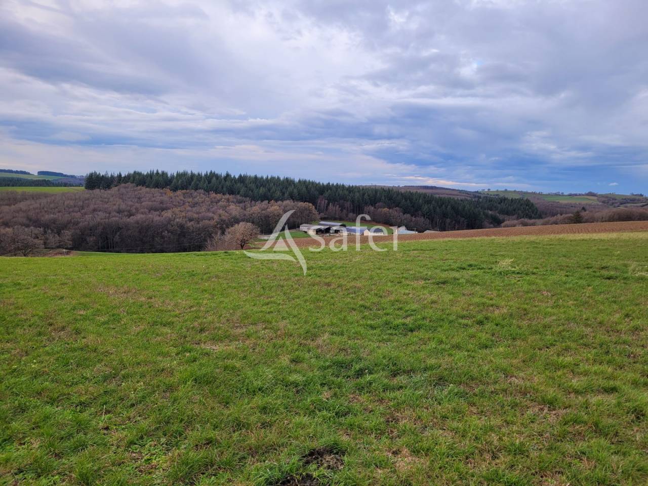 Explotación lechera En venta Cantal