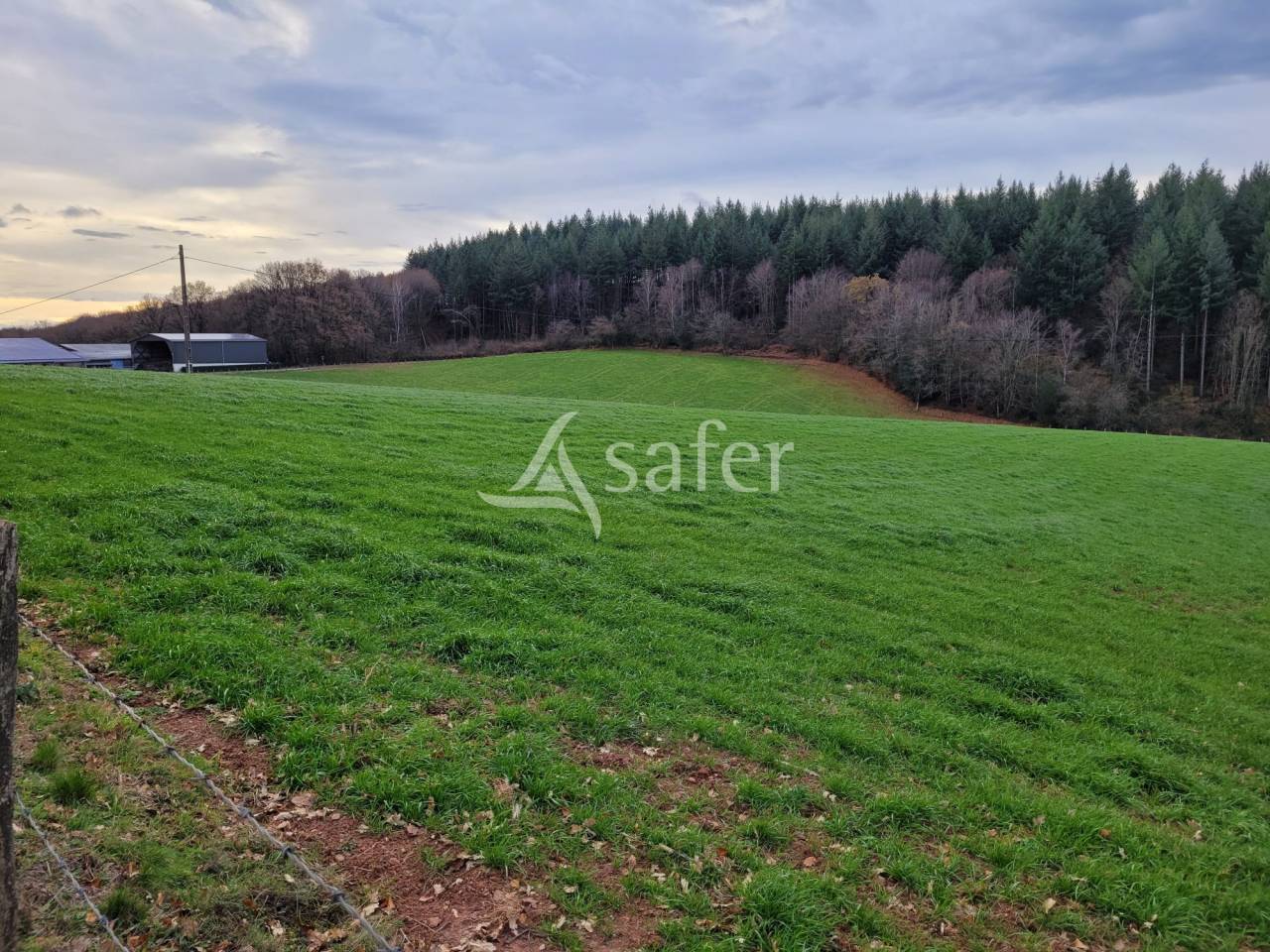 Explotación lechera En venta Cantal