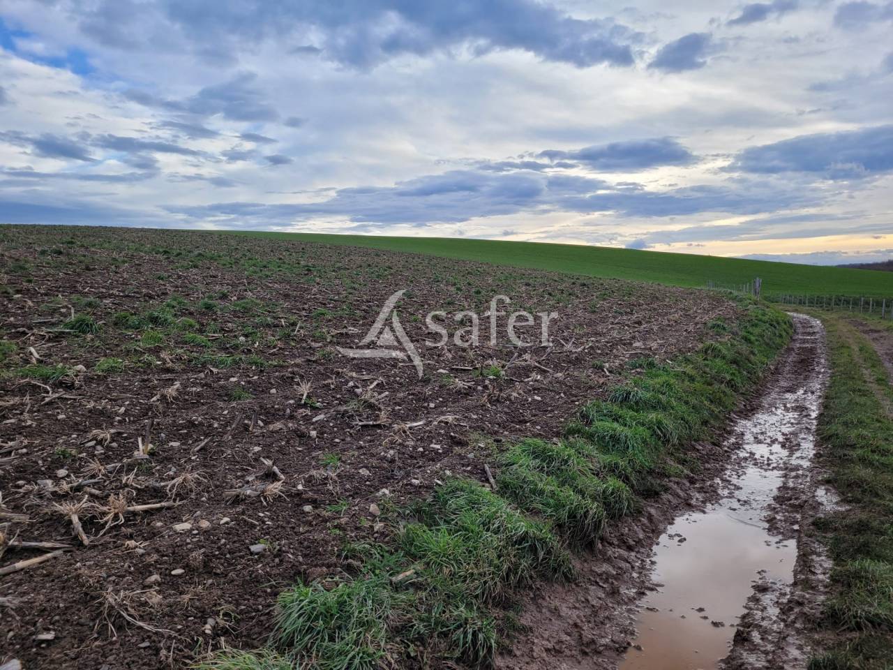 Explotación lechera En venta Cantal