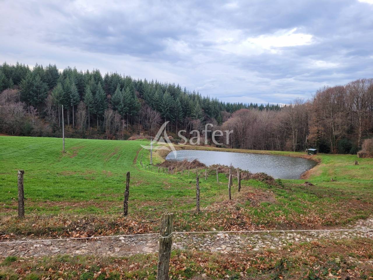 Explotación lechera En venta Cantal