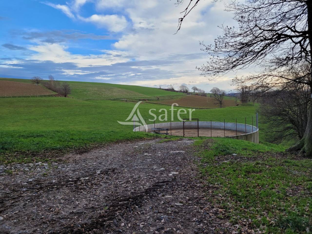 Explotación lechera En venta Cantal