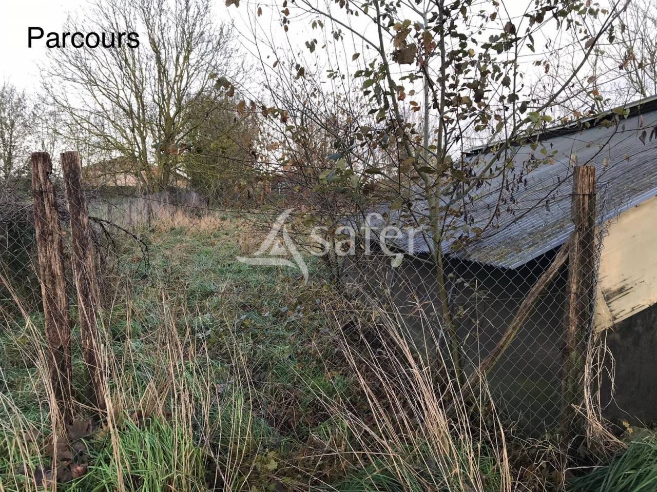 Explotación avícola En venta Valle Del Oise