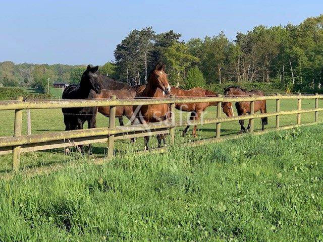 Propiedad ecuestre En venta Eure