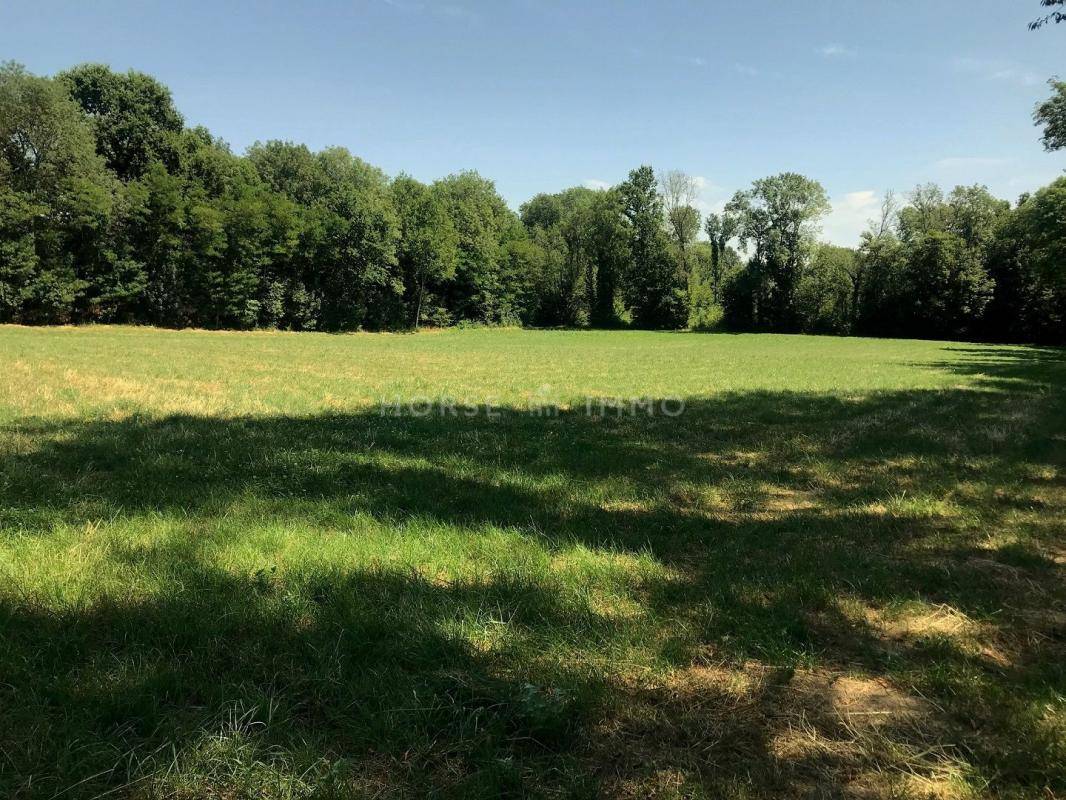 Propiedad ecuestre En venta Sena y Marne