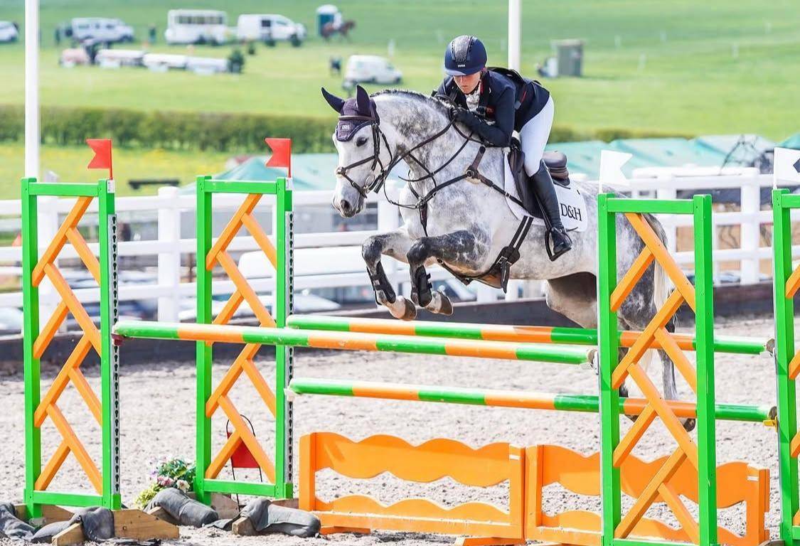 Yegua Silla Francés En venta 2015 Tordo