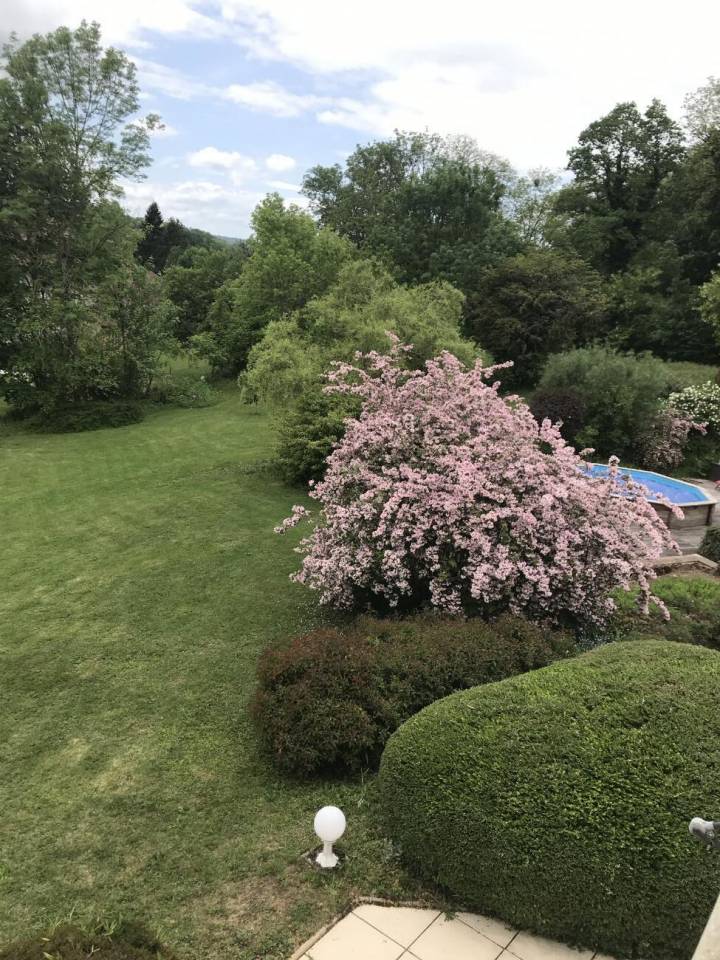 Bonita residencia ecuestre En venta Alto Saona