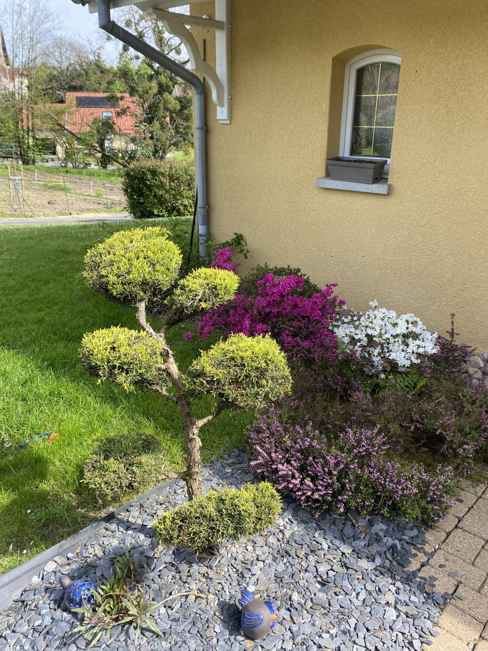 Bonita residencia ecuestre En venta Alto Saona