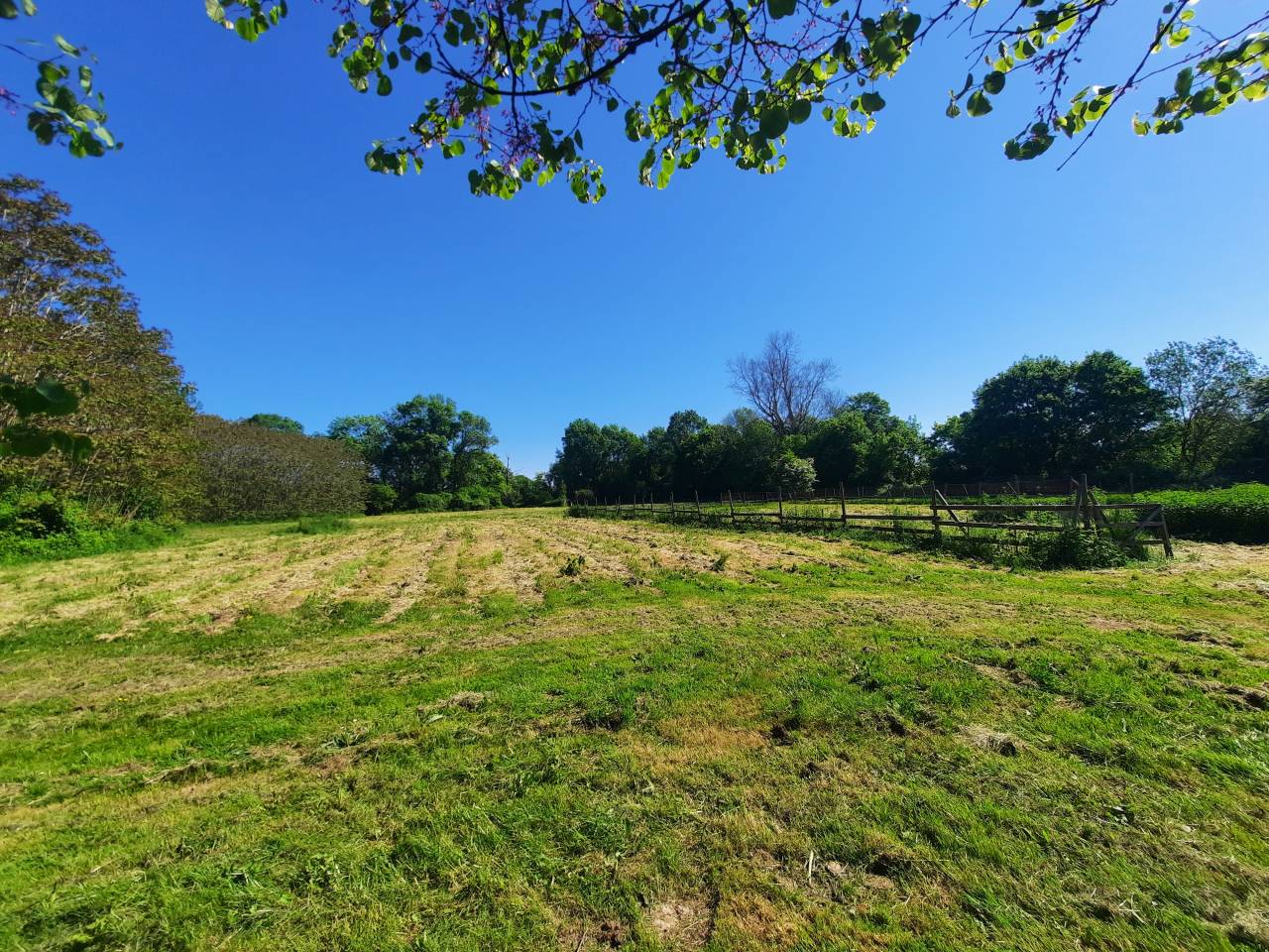 Bonita residencia ecuestre En venta Charente Marítimo