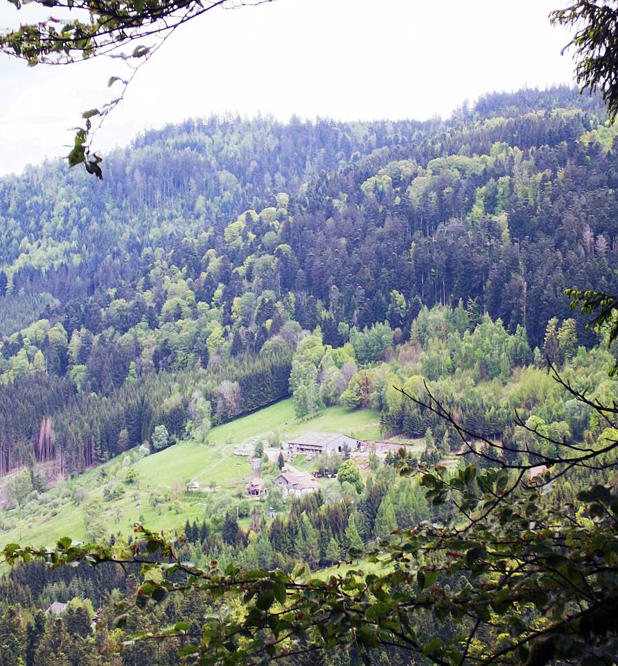 Otro - Otro contrato Otro - Vosgos Francia