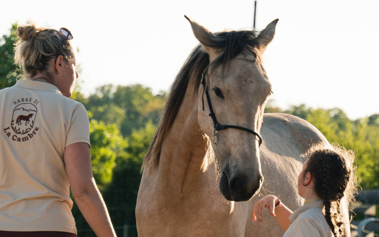 Potranca PRE Pura Raza Española En venta 2023 Isabelo