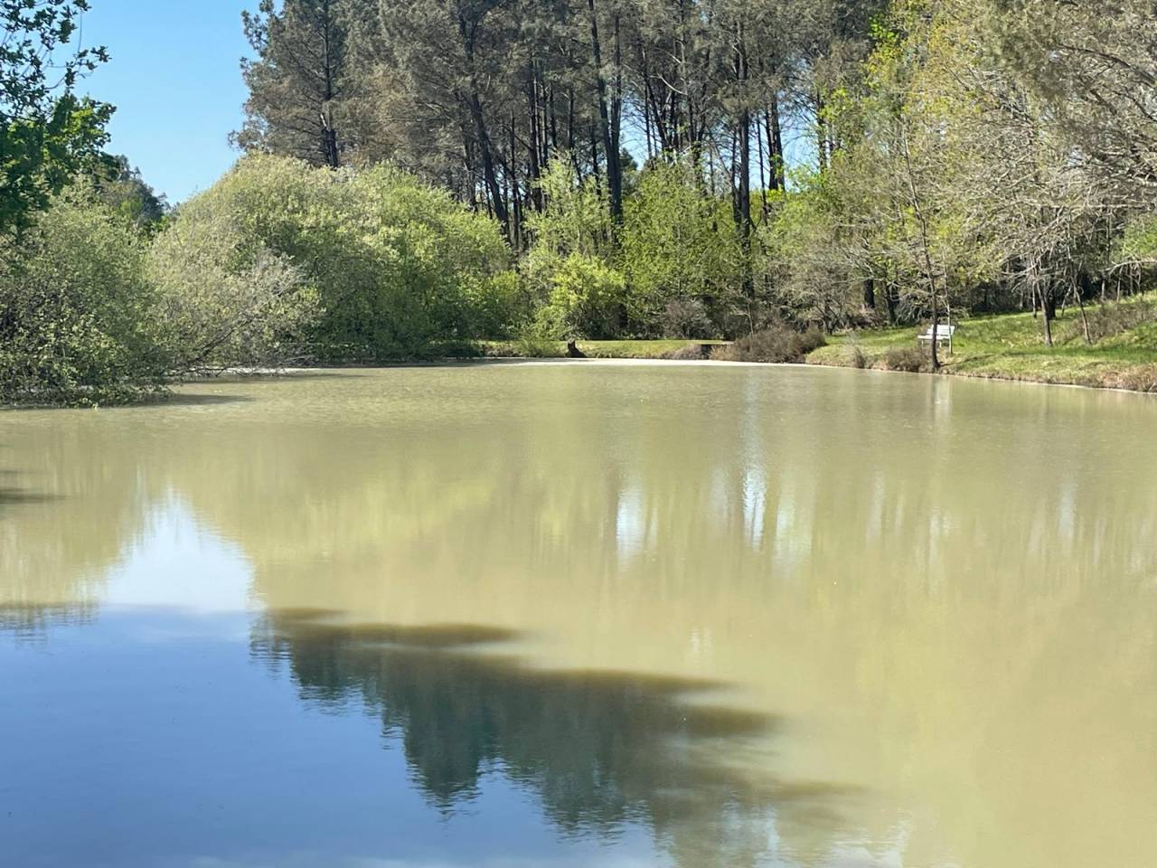 Propiedad de turismo ecuestre En venta Dordoña